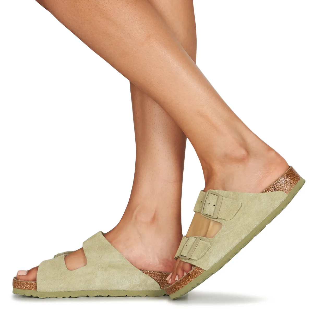 ARIZONA SFB
