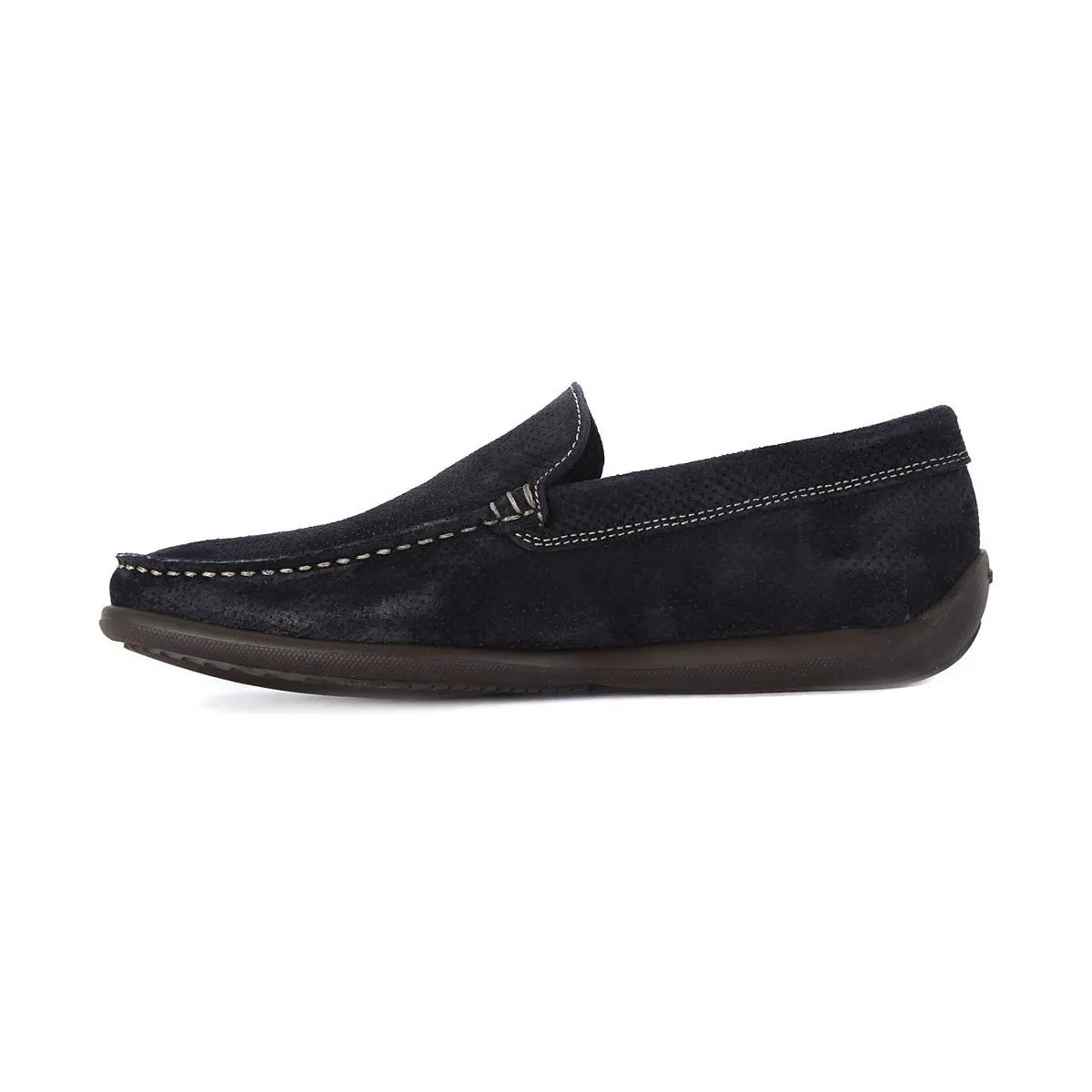 CASTORO BLU