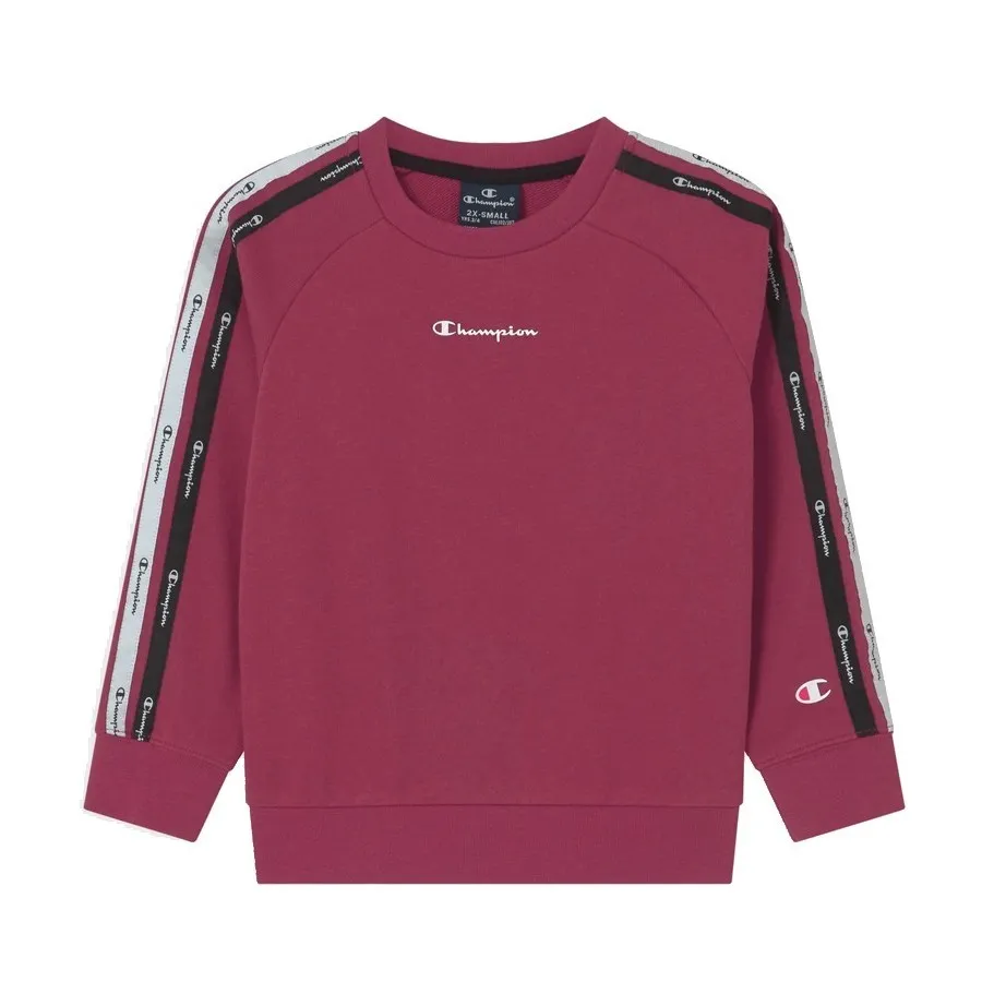 CHAMPION SUDADERA HOMBRE 216560VS516