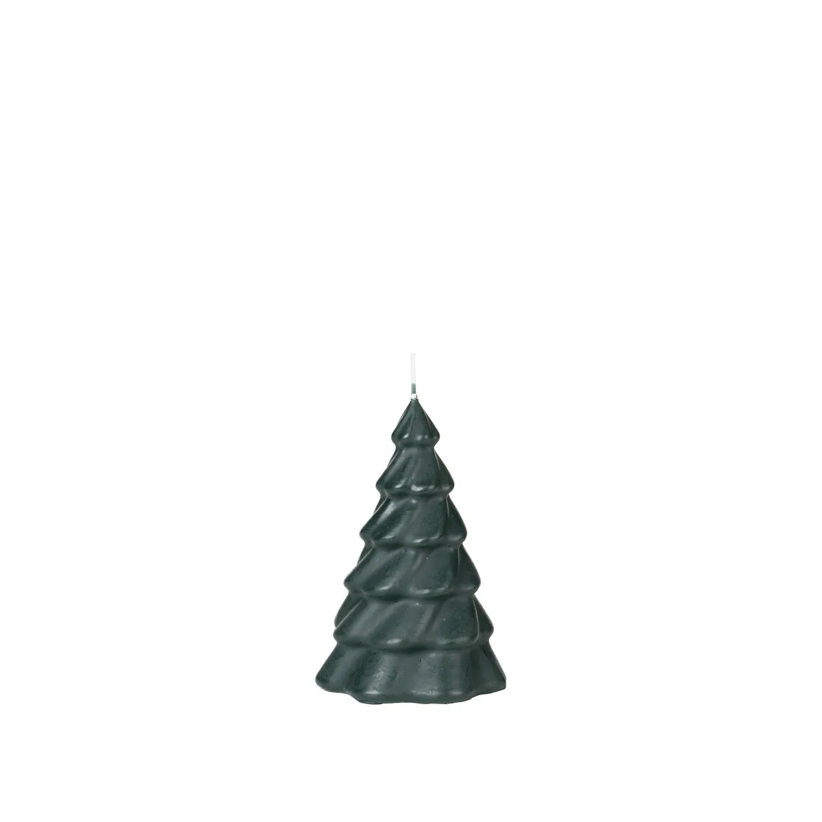 CHRISTMAS TREE 'PINUS'