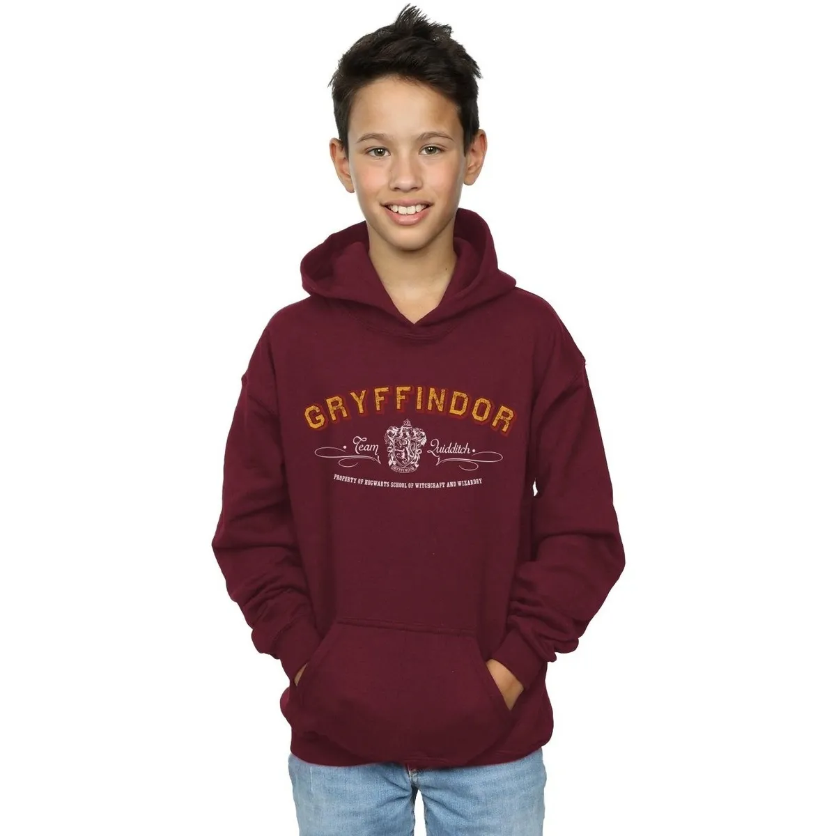 Gryffindor Team Quidditch
