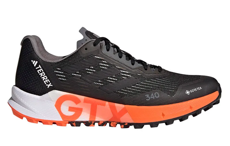 Zapatillas adidas Terrex Agravic Flow 2 Gtx