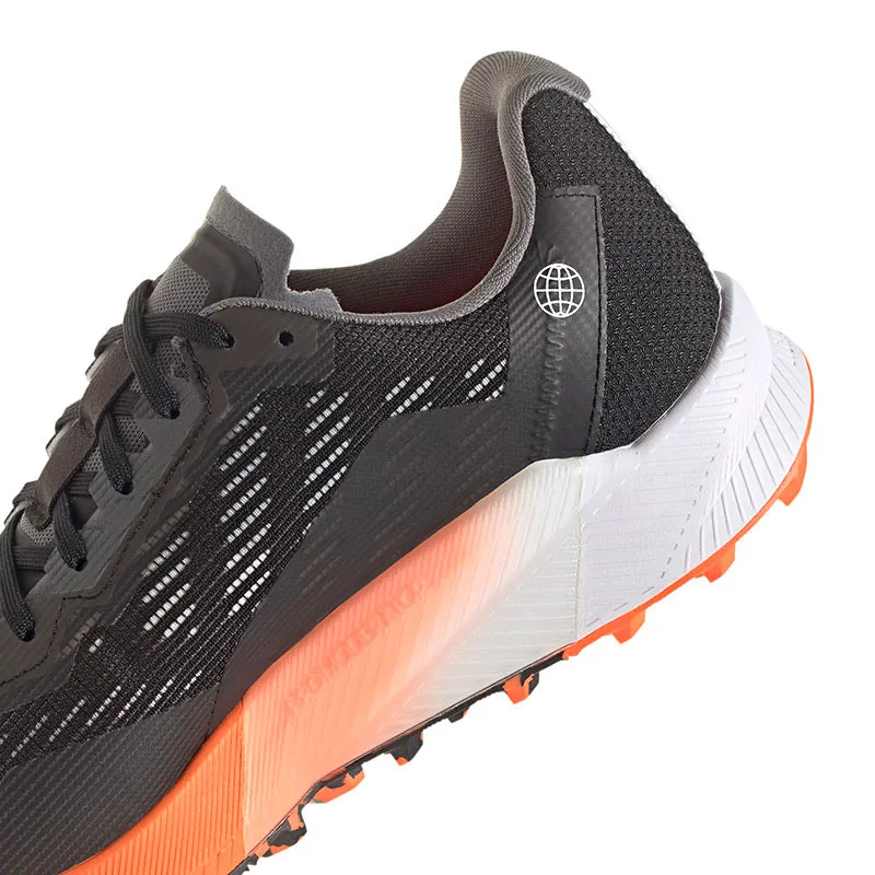 Zapatillas adidas Terrex Agravic Flow 2 Gtx